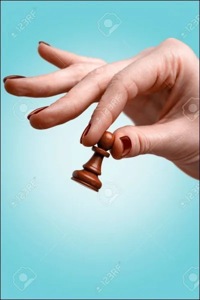 Dans quel jeu faut-il roquer pour mettre le roi en s&eacute;curit&eacute; et donner plus de libert&eacute; de mouvement &agrave; la tour ?