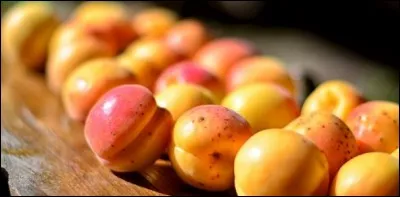 Les abricots que j'ai cueillis sont ______.