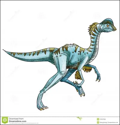 Que mange l'oviraptor ?