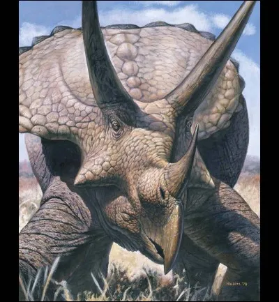 Où trouve-t-on des fossiles de tricératops ?