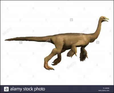 Quelle alimentation a le struthiomimus ?