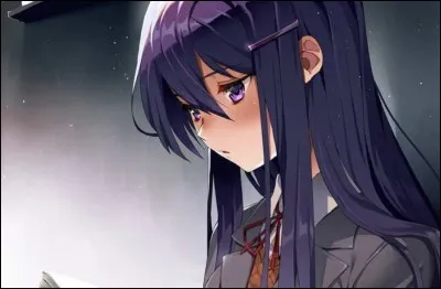 Qui voudrais-tu &ecirc;tre dans DDLC ?