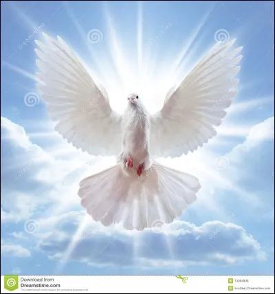 Voici une question facile !