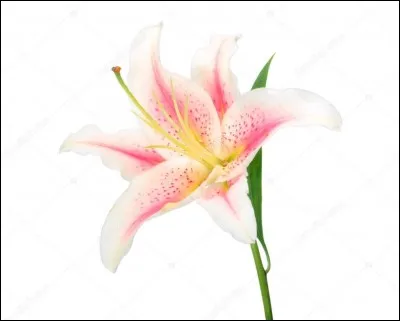 Et celle qui va avec...