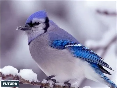 Voici un frère de la question 4...