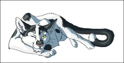 Quel est le nom anglais de Pomme de Pin ?