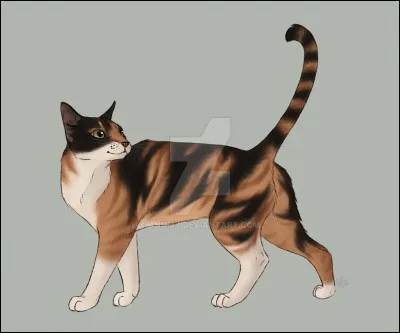 Quel est le nom français de Cherrytail ?