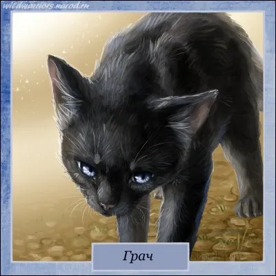 Quel est le nom français de Crowpaw ?
