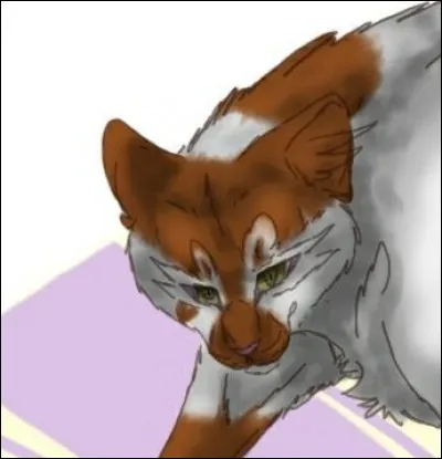 Quel est le nom français de Dapplenose ?