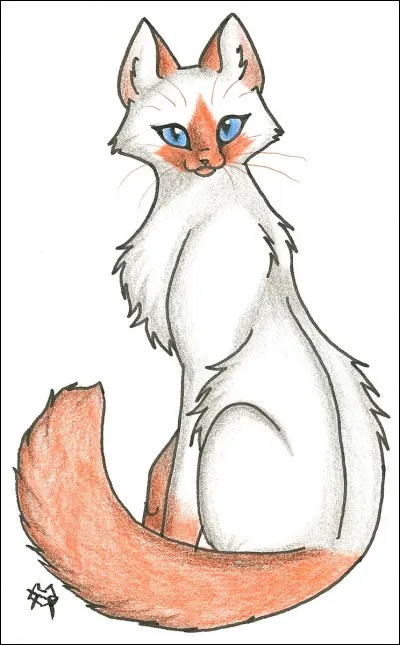 Quel est le nom français de Dawnstar ?