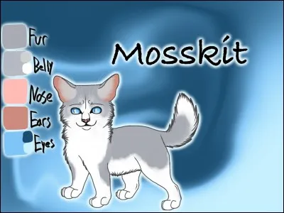 Quel est le nom français de Mosskit ?