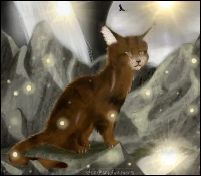 Quel est le nom français de Teller of the Pointed Stones ?