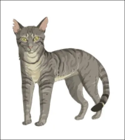 Quel est le nom français de Crag Where Eagles Nest ?