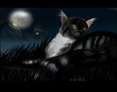 Quel est le nom anglais d'Éclair Noir ?