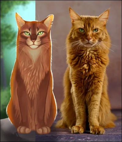 Quel est le nom anglais d'Étoile de Sapin ?