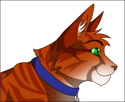 Quel est le nom anglais de Caramel ?