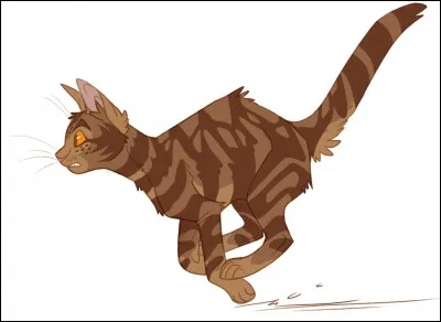 Quel est le nom anglais de Moustache ?