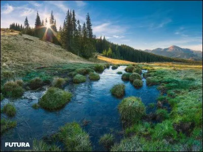 Quel environnement préfères-tu ?