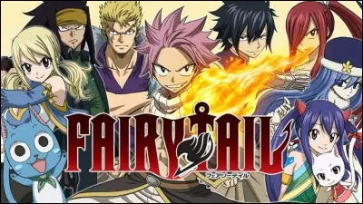 Ton genre de vêtements est plutôt :