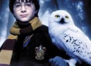 Quiz Les animaux de compagnie dans Harry Potter