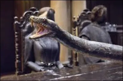 Comment s'appelle le serpent de Lord Voldemort ?