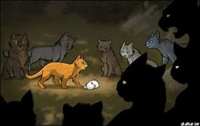 Qui le ramène au clan ?