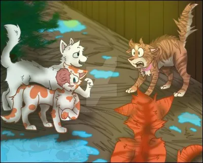 Qui est sa vraie mère ?