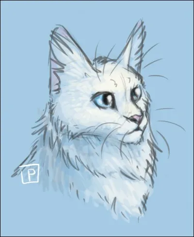 Quel est son nom anglais ?