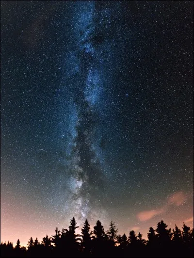 Papillon croit-elle au clan des Étoiles ?