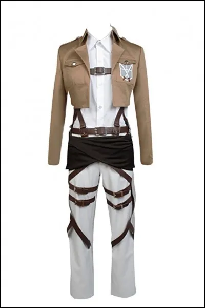 De quel manga vient cet habit ?