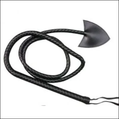 De quel manga vient ce fouet ?