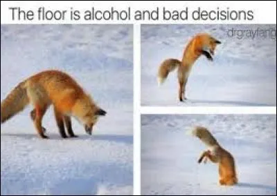 Le mot de la fin ! Que ce quizz n'incite pas les plus innocents à boire de l'alcool ! On est bien d'accord ?