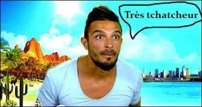 De quelle émission de télé-réalité provient l'expression "très tchatcheur" ?