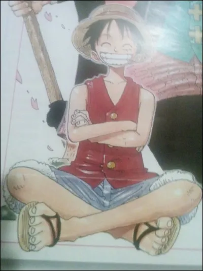 Où Luffy habite-t-il ?