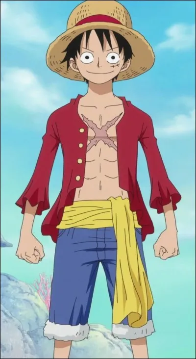 Au départ, combien de compagnons Luffy voulait-il ?