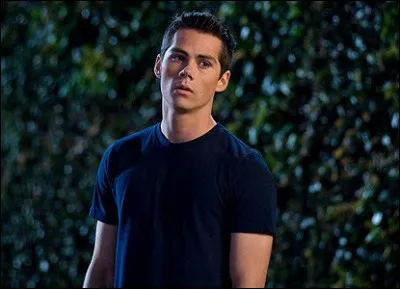 Comment les fans de "Teen Wolf" appellent-ils la relation du personnage qu'il incarne dans la série (Stiles) avec le personnage de Lydia ?