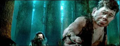 Comment s'appelle le fr&egrave;re de Hagrid ?