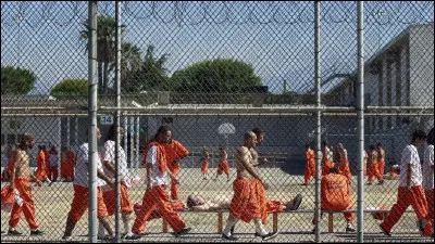 Je vous dis : prison, sexe, filles, vous pensez &agrave; :