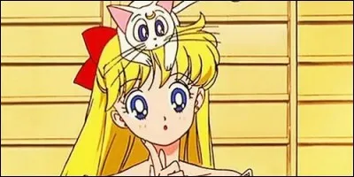 Quel est le nom de son chat ?