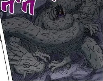 De quel répertoire de techniques ce Jutsu fait-il partie ?