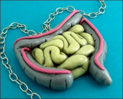 Et voici un objet peu ragoûtant, qui est en fait un... collier ! Rappelons que les bijoux sont supposés enjoliver la tenue. Ici, on pourrait éventuellement trouver une qualité inattendue à ce bijou, laquelle ?