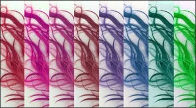 De quelle couleur sont tes cheveux ?