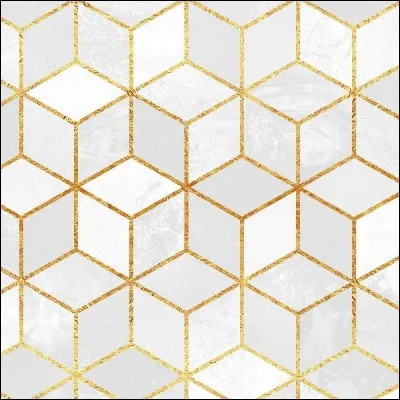 Dans le tome 10, Léa doit porter un maillot avec le motif...