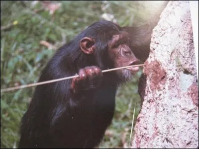 Petit motif de passementerie ou de bijouterie formant pendeloque !