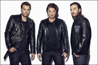 La Swedish House Mafia est composée de Sebastian Ingrosso, d'Axwell et de...