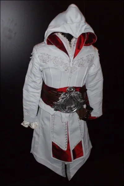 De quel jeu vient ce costume ?