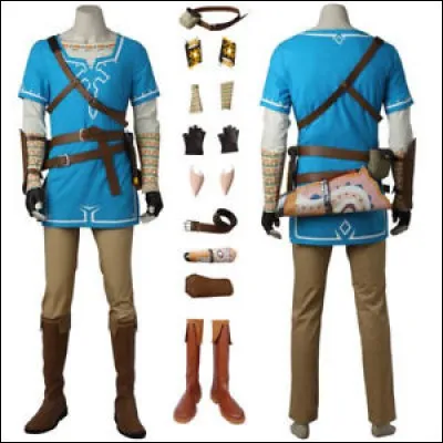 De quel jeu vient ce costume ?