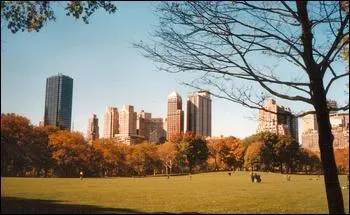Quand dbutrent les premiers travaux de construction de 'Central Park' ?