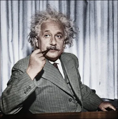 Albert Einstein a épousé sa cousine Elsa Einstein.