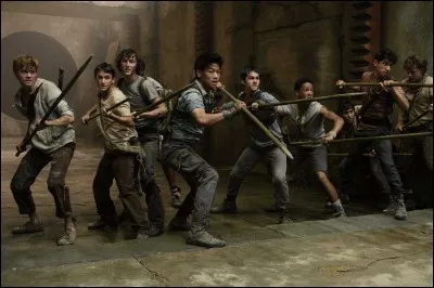 Qui dit "Les mots sont les bons. Mais on ne sait pas ce qu'ils veulent dire." ?